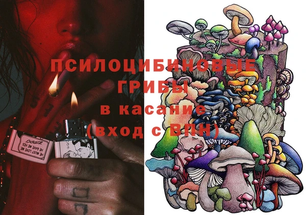 ГАЛЛЮЦИНОГЕННЫЕ ГРИБЫ Протвино