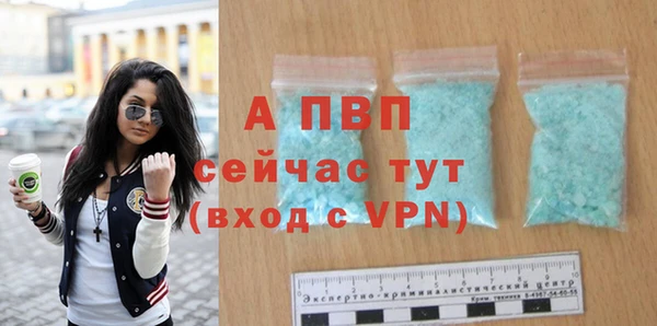Альфа ПВП Белокуриха