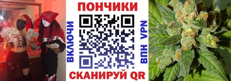 Шишки марихуана сатива Новоалтайск